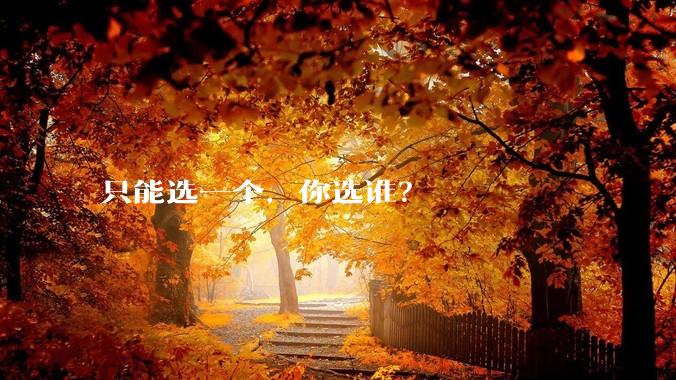 只能选一个,你选谁?