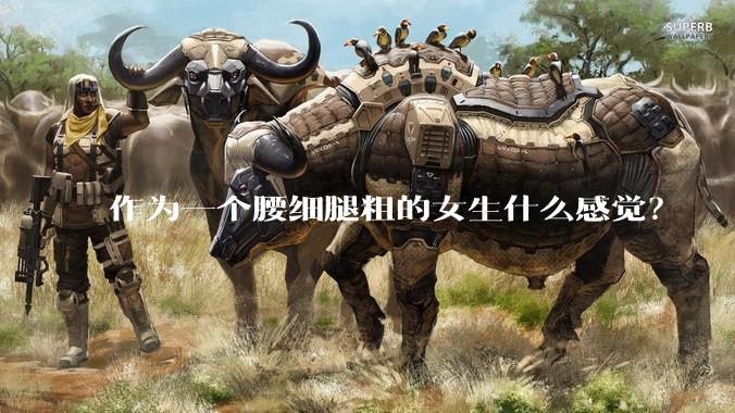 作为一个腰细腿粗的女生什么感觉?