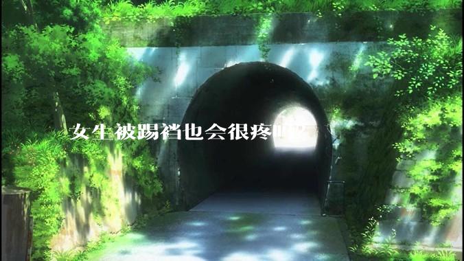 女生被踢裆也会很疼吗?