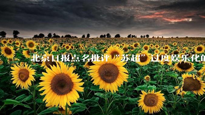 北京日报点名批评“苏超”过度娱乐化的动机是什么?