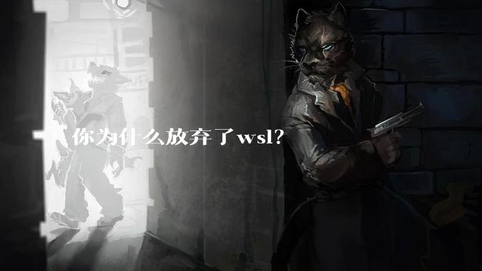 你为什么放弃了wsl?