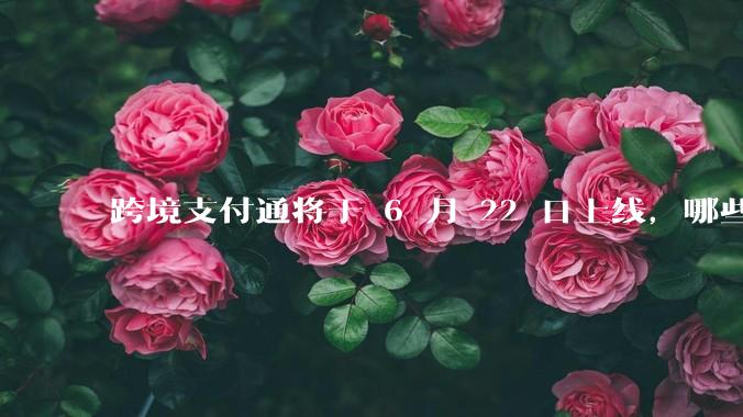 跨境支付通将于 6 月 22 日上线,哪些银行的客户可以直接向香港账户转账?