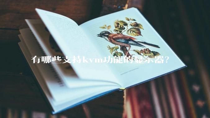 有哪些支持kvm功能的显示器?