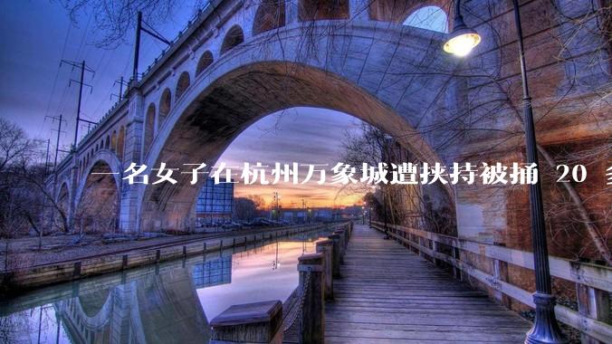 一名女子在杭州万象城遭挟持被捅 20 多刀,隆胸***体救了一命,这反映出哪些公安系统的问题?