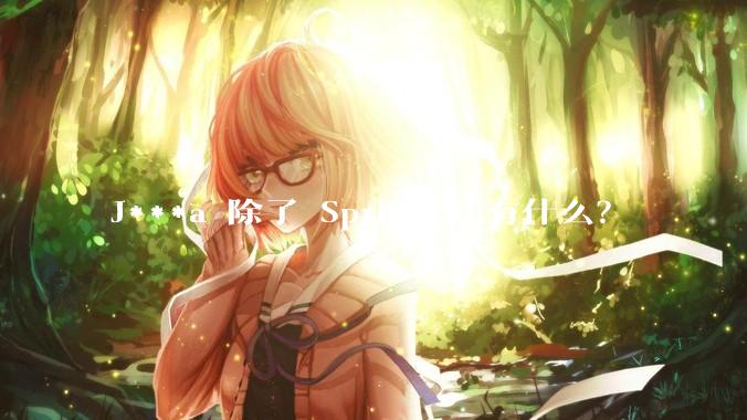 J***a 除了 Spring 还有什么?