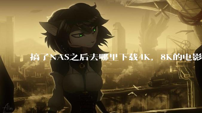 搞了NAS之后去哪里下载4K,8K的电影?