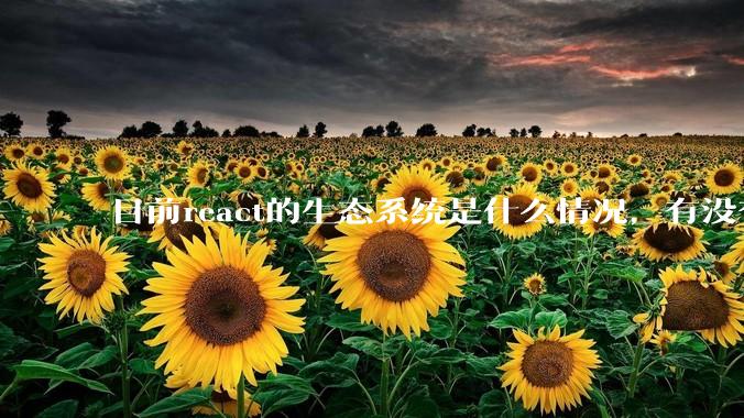 目前react的生态系统是什么情况,有没有比较公认的成熟的开发技术栈?