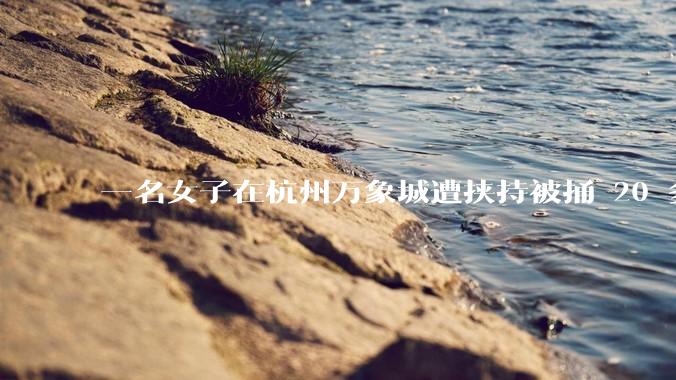 一名女子在杭州万象城遭挟持被捅 20 多刀,隆胸***体救了一命,这反映出哪些公安系统的问题?