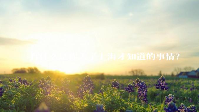 有什么是你去了上海才知道的事情?