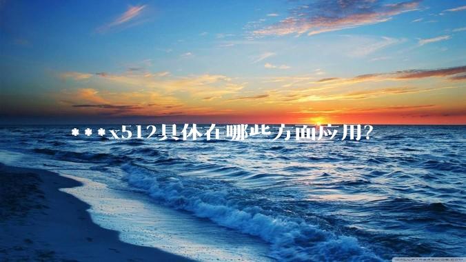 ***x512具体在哪些方面应用?