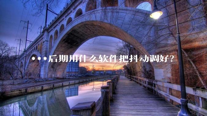***后期用什么软件把抖动调好?