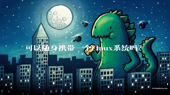 可以随身携带一个Linux系统吗?