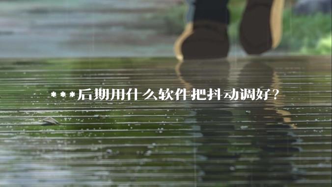 ***后期用什么软件把抖动调好?