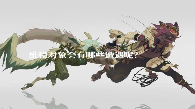 维稳对象会有哪些遭遇呢?