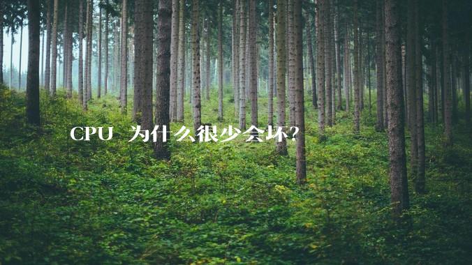 CPU 为什么很少会坏?