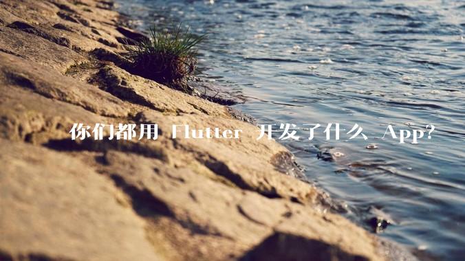 你们都用 Flutter 开发了什么 App?