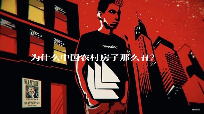 为什么中国农村房子那么丑?