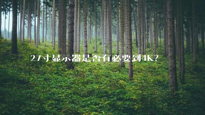 27寸显示器是否有必要到4K?