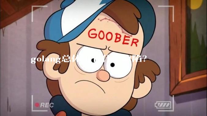 golang总体上有什么缺陷?
