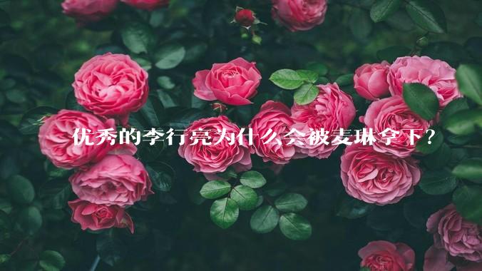 优秀的李行亮为什么会被麦琳拿下?