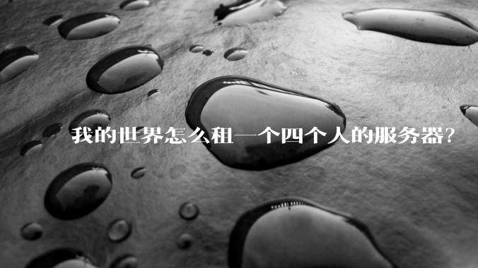 我的世界怎么租一个四个人的服务器?